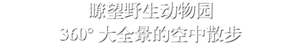 瞭望野生动物园
360°大全景的空中散步