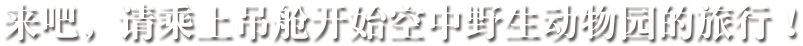 来吧，请乘上吊舱开始空中野生动物园的旅行！