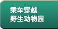 乘车穿越野生动物园